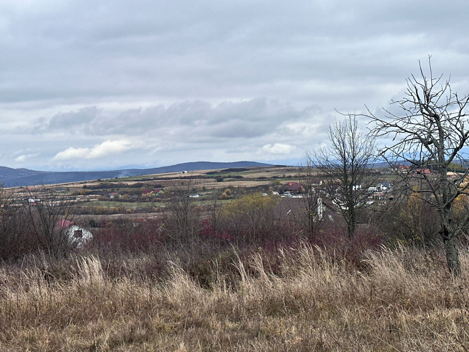 Teren intravilan, 1000 mp, Daia Noua