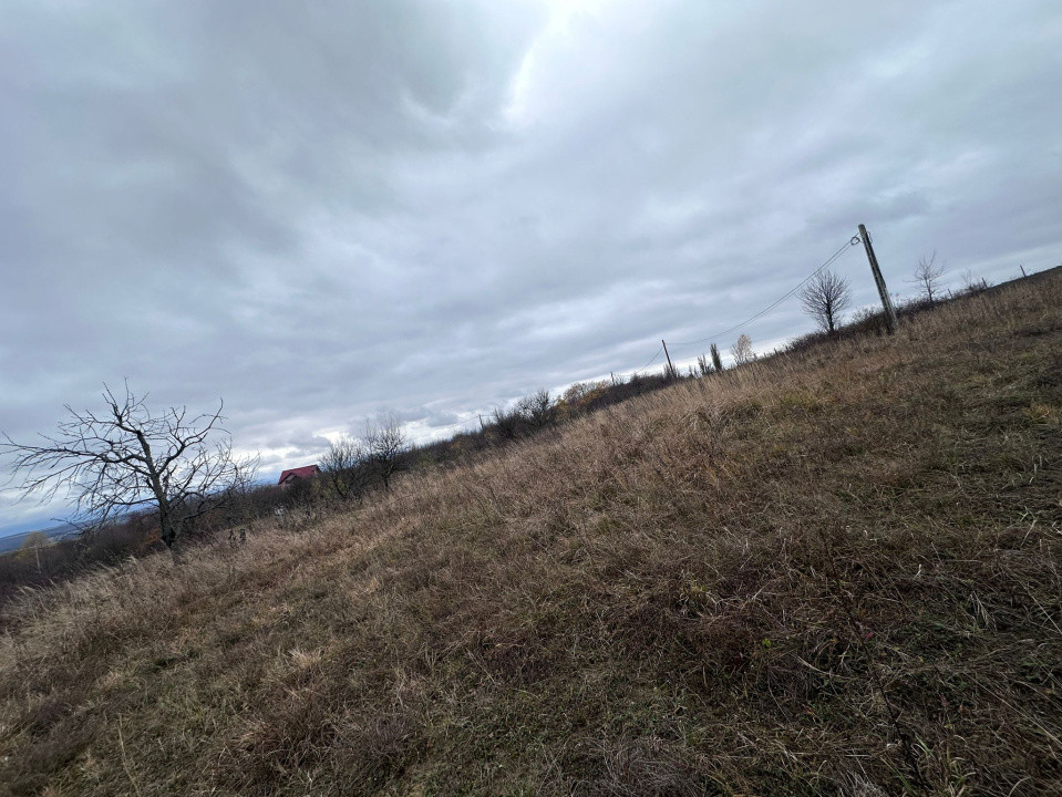 Teren intravilan, 1000 mp, Daia Noua