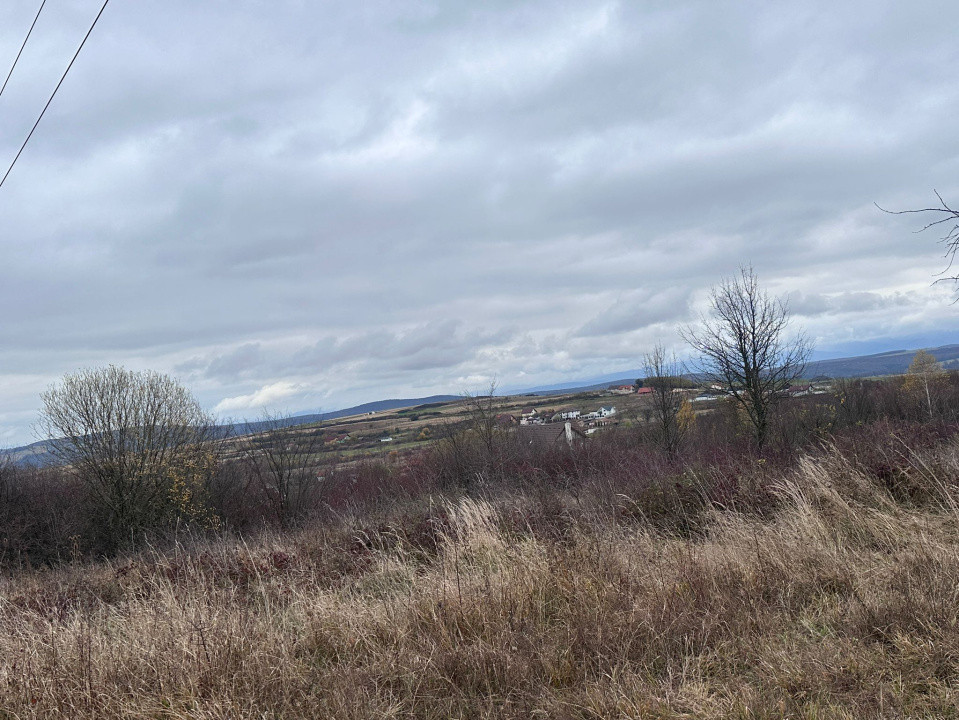 Teren intravilan, 1000 mp, Daia Noua