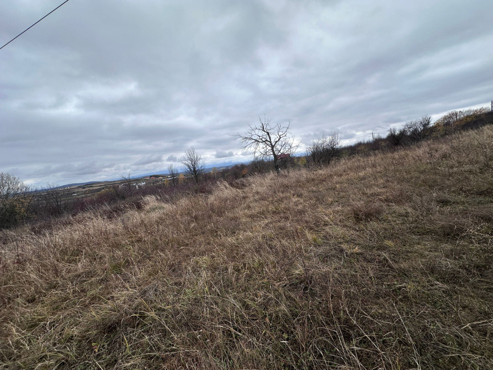 Teren intravilan, 1000 mp, Daia Noua