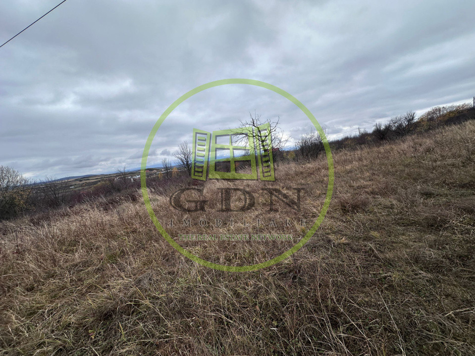 Teren intravilan, 1000 mp, Daia Noua