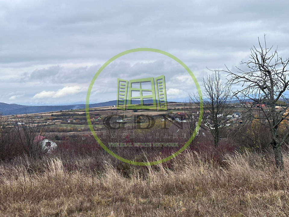 Teren intravilan, 1000 mp, Daia Noua