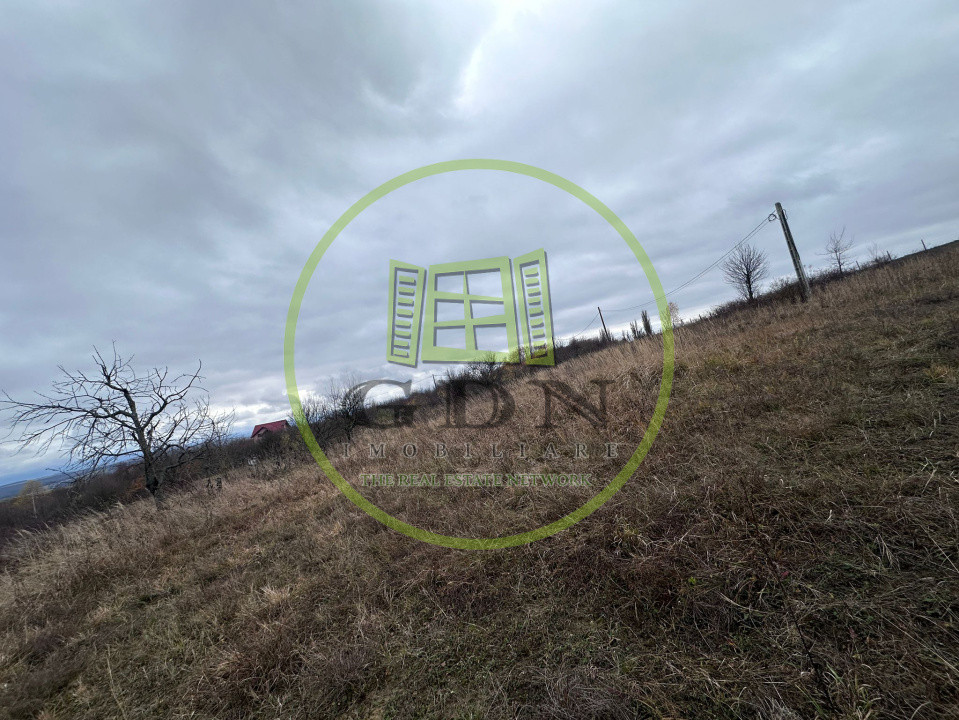 Teren intravilan, 1000 mp, Daia Noua