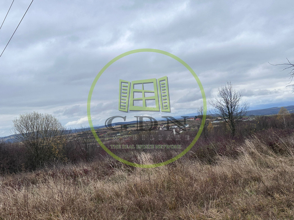 Teren intravilan, 1000 mp, Daia Noua