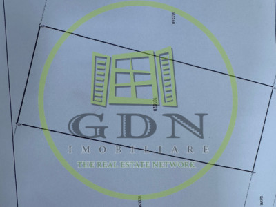 Teren intravilan, 1000 mp, Daia Noua