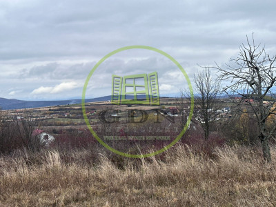 Teren intravilan, 1000 mp, Daia Noua