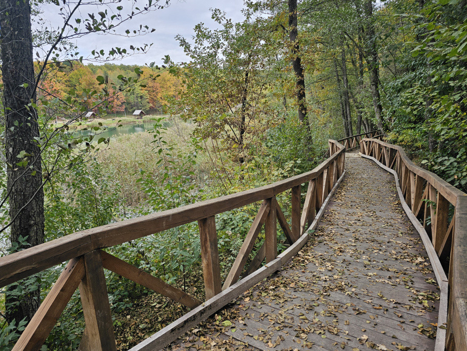 Teren intravilan 2000 mp zona Lac Stei