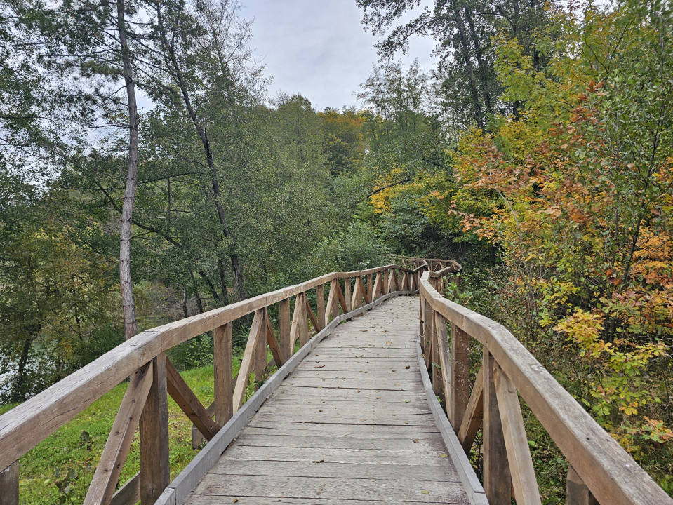 Teren intravilan 2000 mp zona Lac Stei