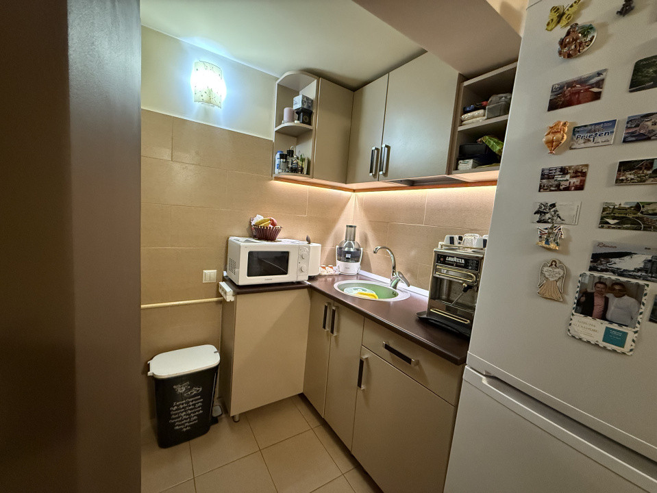 Garsoniera semidecomandata, 30 mp, Rovine, Zona Iruc