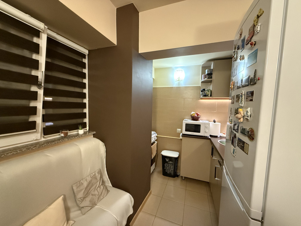 Garsoniera semidecomandata, 30 mp, Rovine, Zona Iruc