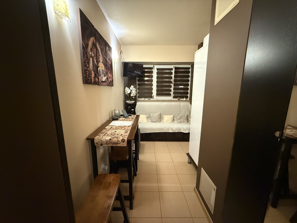 Garsoniera semidecomandata, 30 mp, Rovine, Zona Iruc