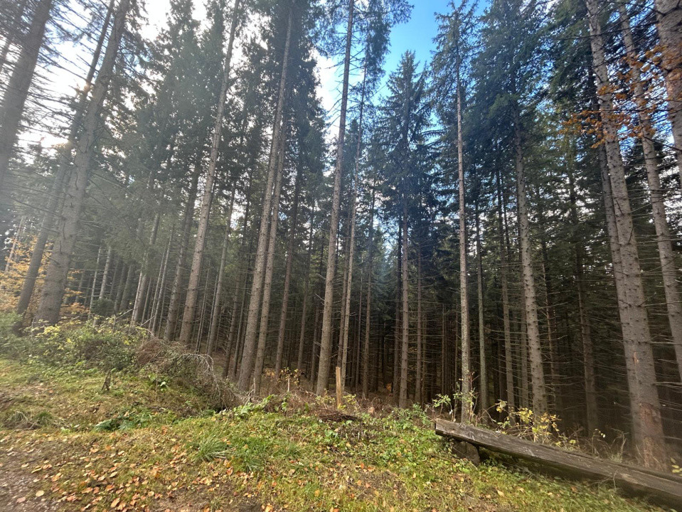 Pensiune de vânzare în stațiunea Păltiniș,Sibiu- Afacere la cheie