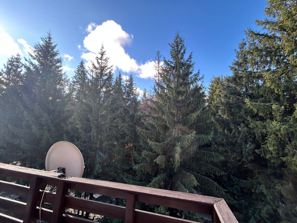 Pensiune de vânzare în stațiunea Păltiniș,Sibiu- Afacere la cheie