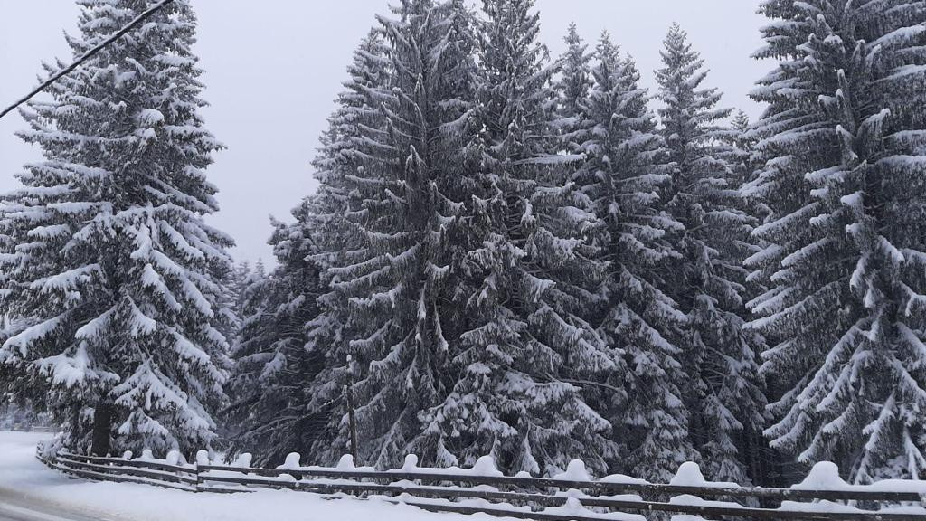 Pensiune de vânzare în stațiunea Păltiniș,Sibiu- Afacere la cheie