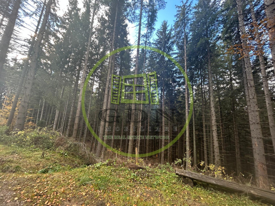 Pensiune de vânzare în stațiunea Păltiniș,Sibiu- Afacere la cheie