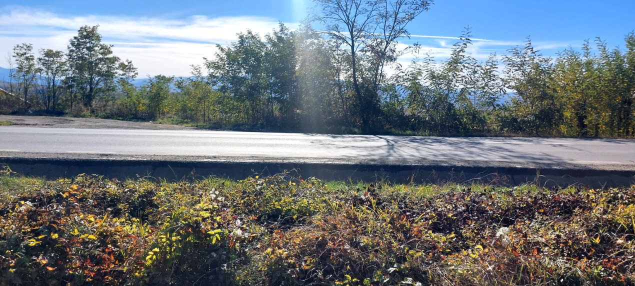 Teren Intravilan  2000mp, cu utilitati (P+E /M), spre vanzare in Daia Sibiu