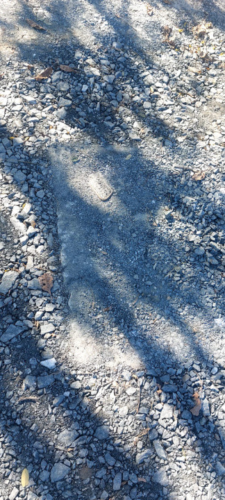 Teren Intravilan  2000mp, cu utilitati (P+E /M), spre vanzare in Daia Sibiu