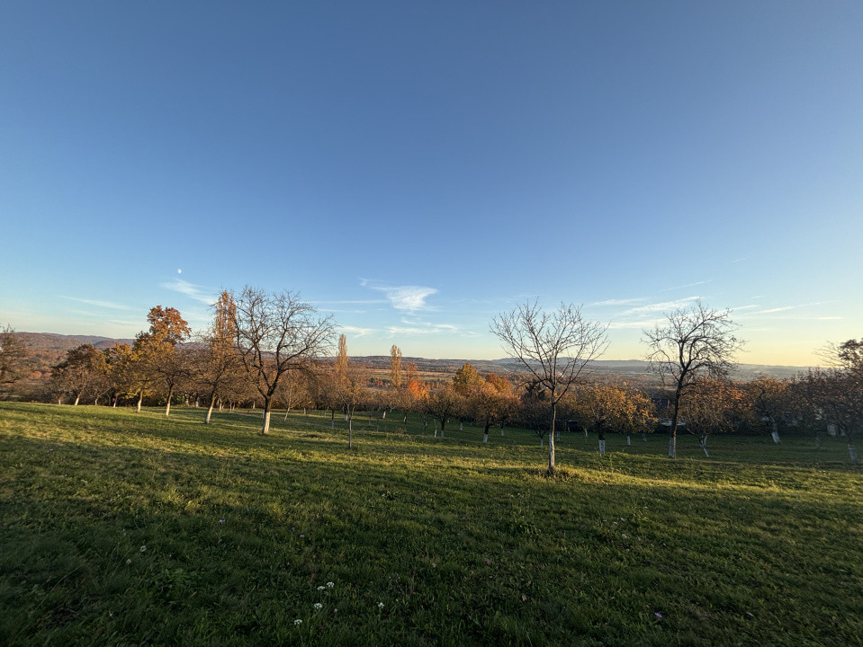 Teren de vanzare Unguras