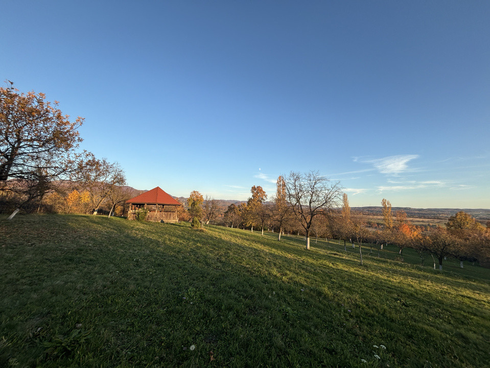 Teren de vanzare Unguras