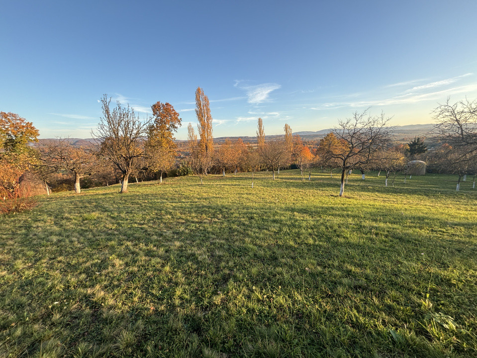 Teren de vanzare Unguras