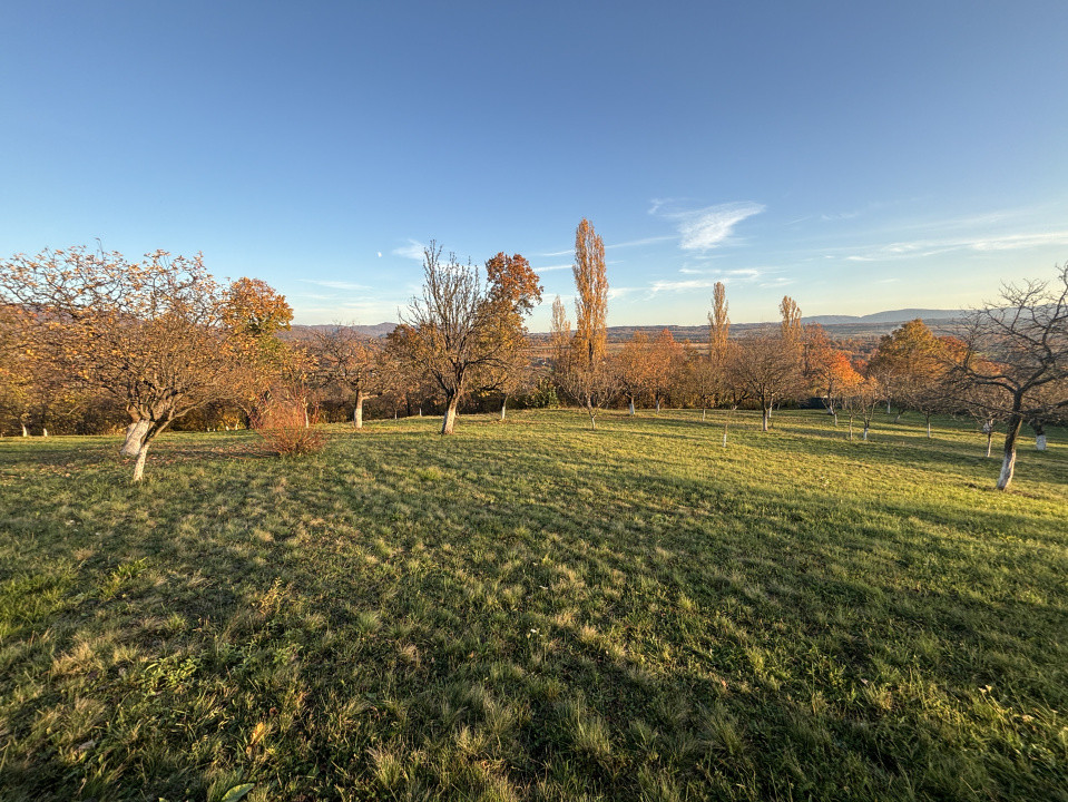 Teren de vanzare Unguras