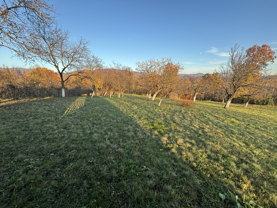 Teren de vanzare Unguras