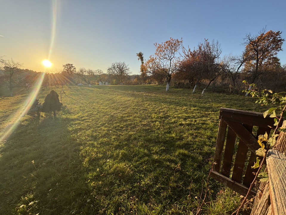 Teren de vanzare Unguras