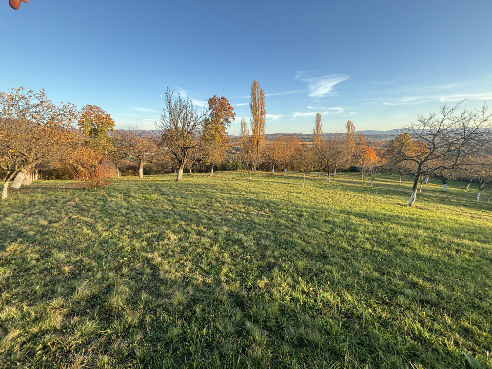 Teren de vanzare Unguras