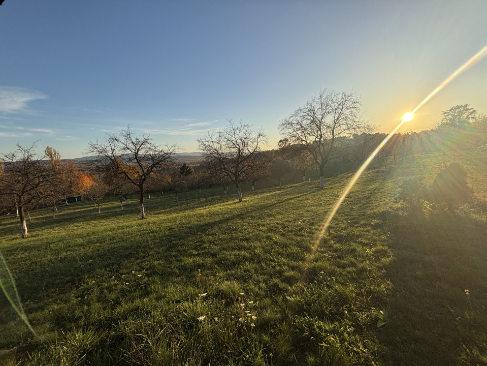 Teren de vanzare Unguras