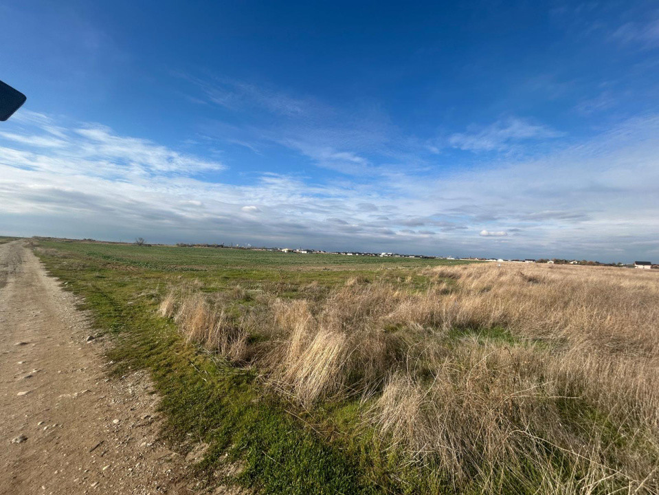 Teren extravilan, 392 mp, Carcea