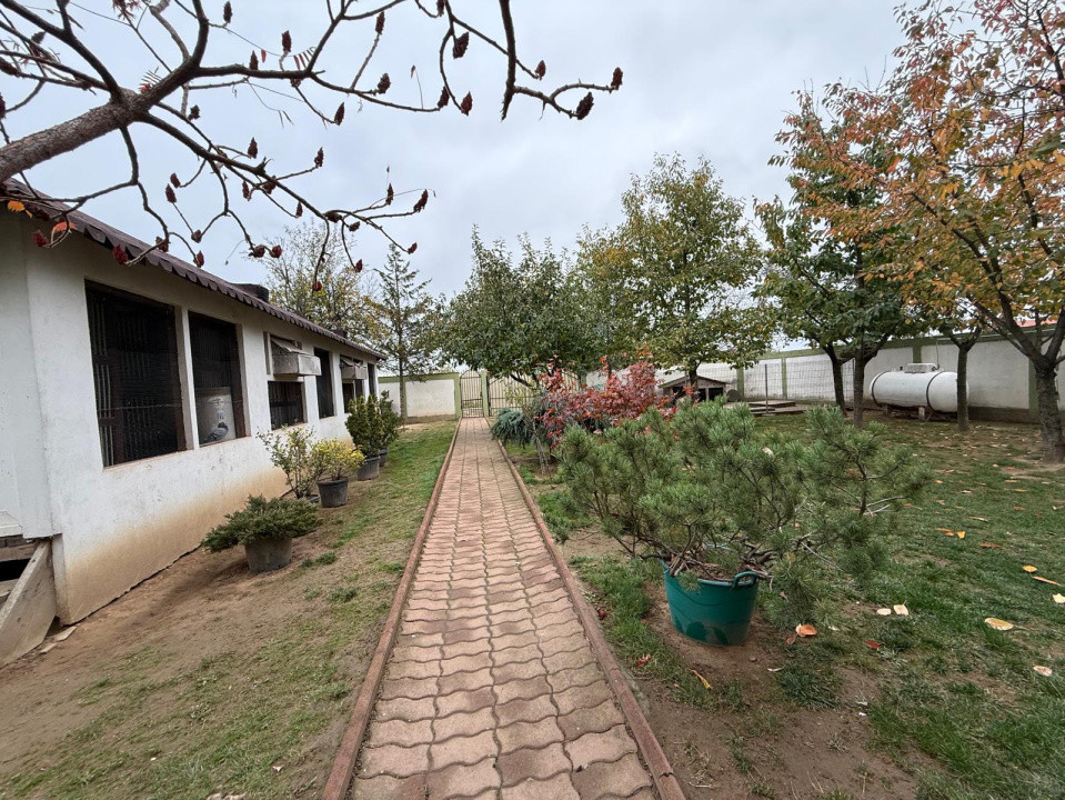 Casa D+P+M, 713 MP teren, 300 MP utili, Carcea, zona Metro 