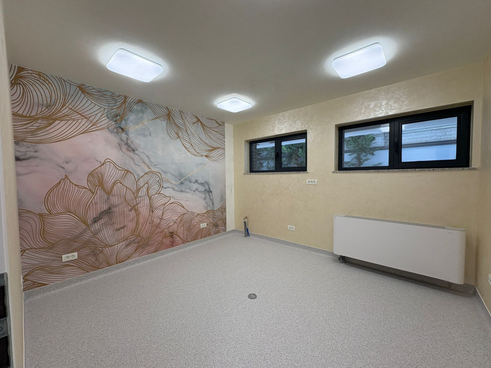 Cabinete Medicale, 225 mp, Cartier 1 Mai, Zona Medicina Veche