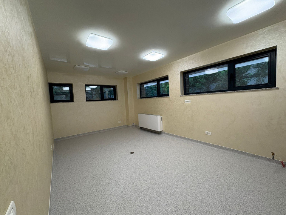 Cabinete Medicale, 225 mp, Cartier 1 Mai, Zona Medicina Veche