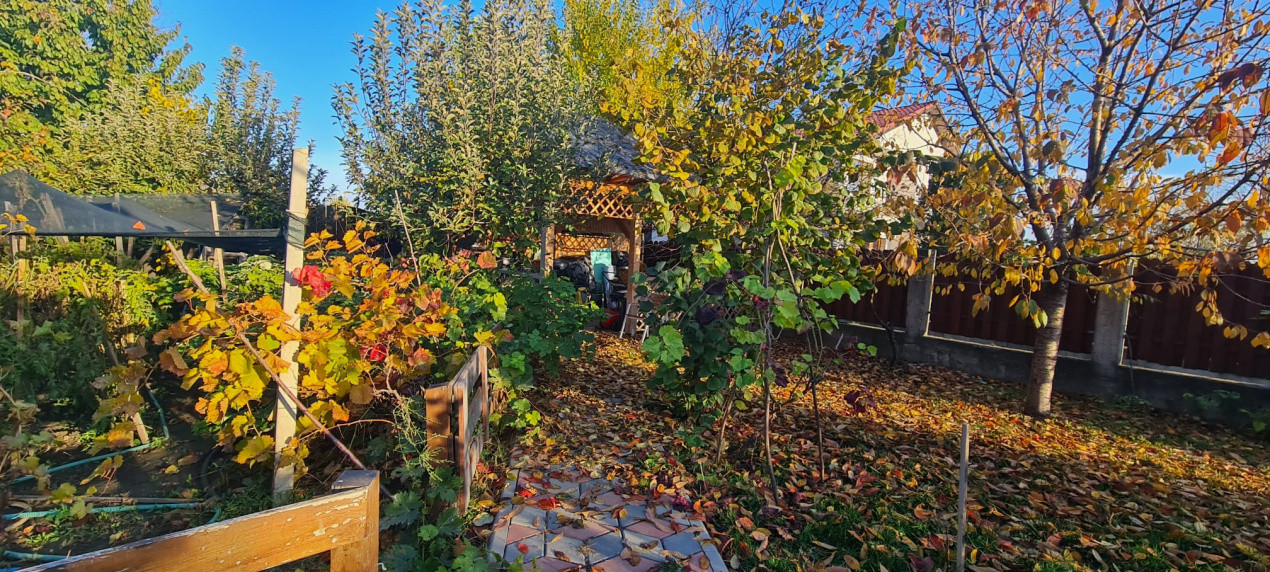 Casa 4 camere P+M Focsani