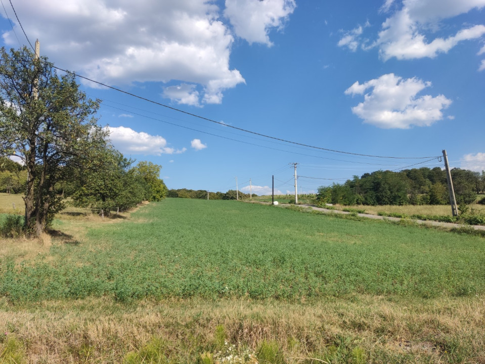 De vânzare - teren intravilan la 18 km de Baia Mare, Maramureș