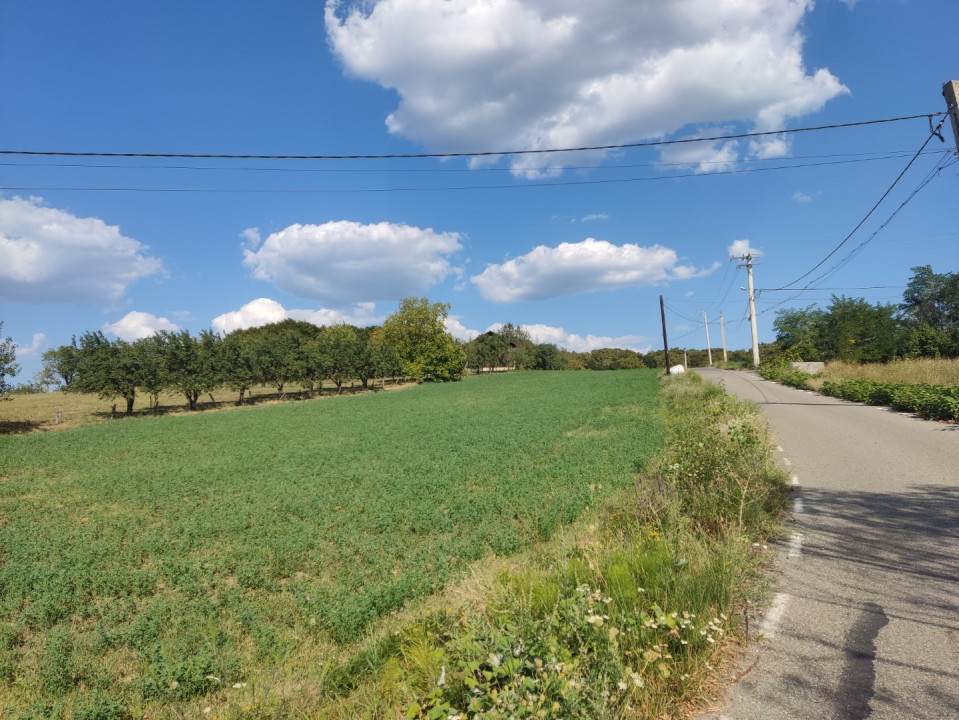 De vânzare - teren intravilan la 18 km de Baia Mare, Maramureș