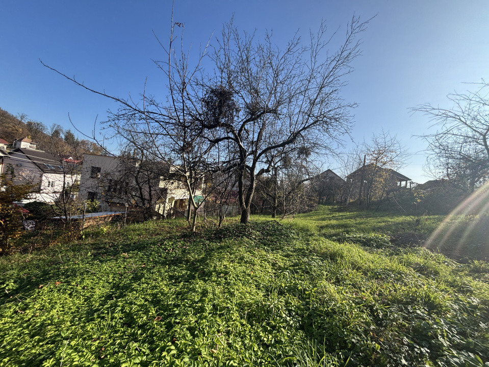 Teren de vanzare Valea Rosie