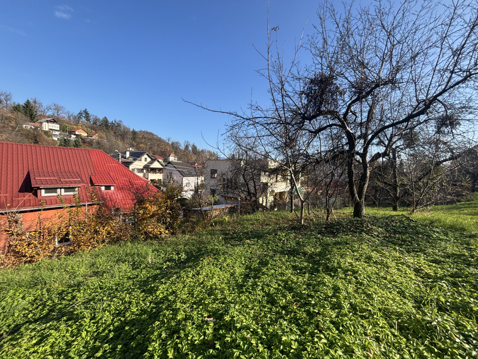 Teren de vanzare Valea Rosie