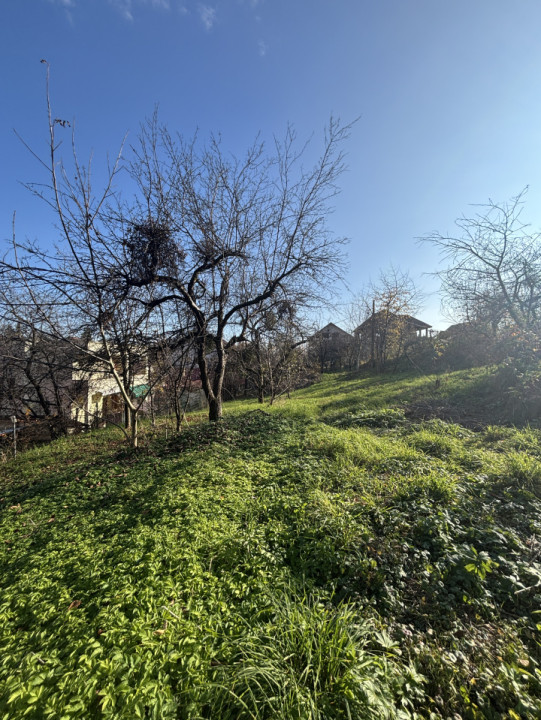 Teren de vanzare Valea Rosie