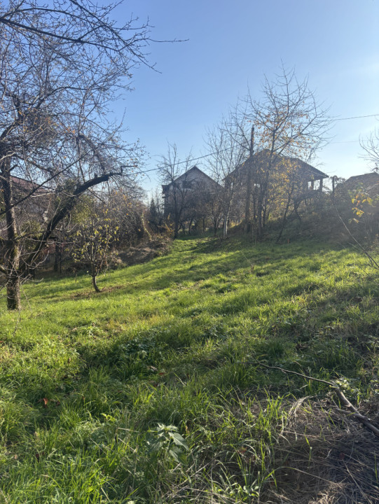 Teren de vanzare Valea Rosie