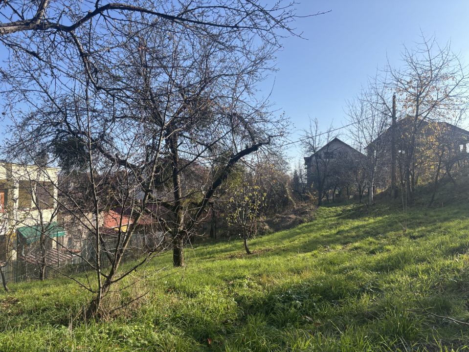 Teren de vanzare Valea Rosie