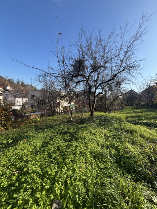 Teren de vanzare Valea Rosie