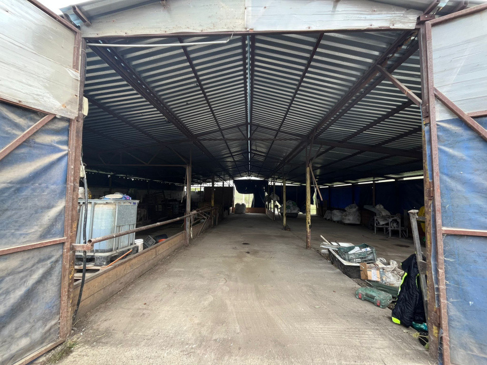 Ofertă de vânzare fermă: hală de 500 mp.+teren 6500 mp, Frata