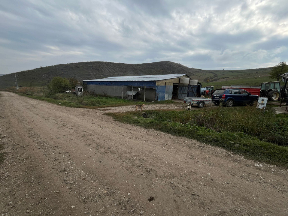Ofertă de vânzare fermă: hală de 500 mp.+teren 6500 mp, Frata ,69900 EURO