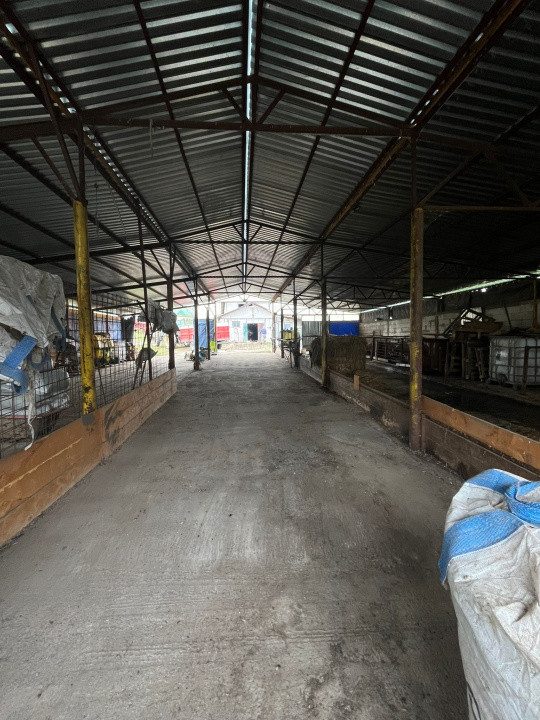 Ofertă de vânzare fermă: hală de 500 mp.+teren 6500 mp, Frata ,69900 EURO