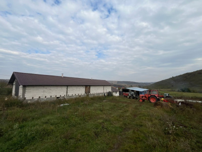 Ofertă de vânzare fermă: hală de 500 mp.+teren 6500 mp, Frata