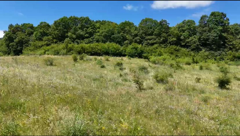 Vânzare teren intravilan, 700 mp., Chinteni