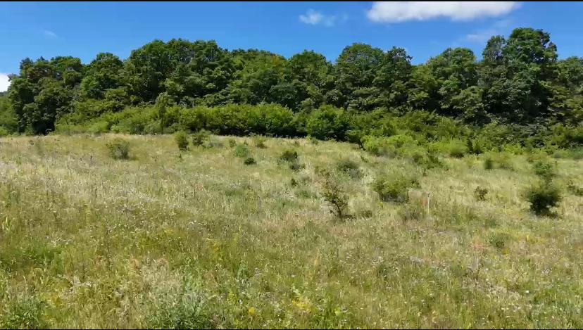 Vânzare teren intravilan, 700 mp., Chinteni