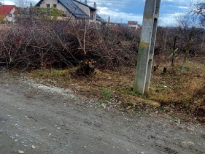 Teren Intravilan suprafata 1000mp, spre vanzare in Daia Noua