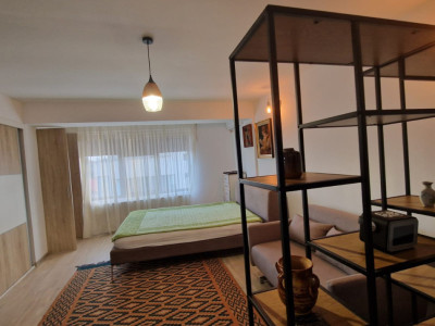 Garsoniera, 44mp, cartier Brazda lui Novac, zona Paltinis